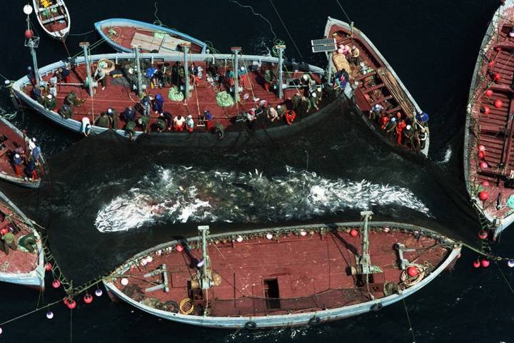 La relación de Tarifa con el mar y con la pesca viene de lejos. Foto: M. Rojas.