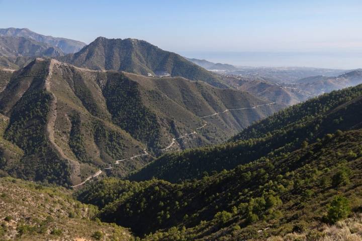 Parque Natural Tejeda