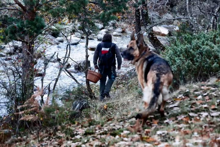 Un buen guía, una cesta y un perro que conocen los rincones más recónditos.