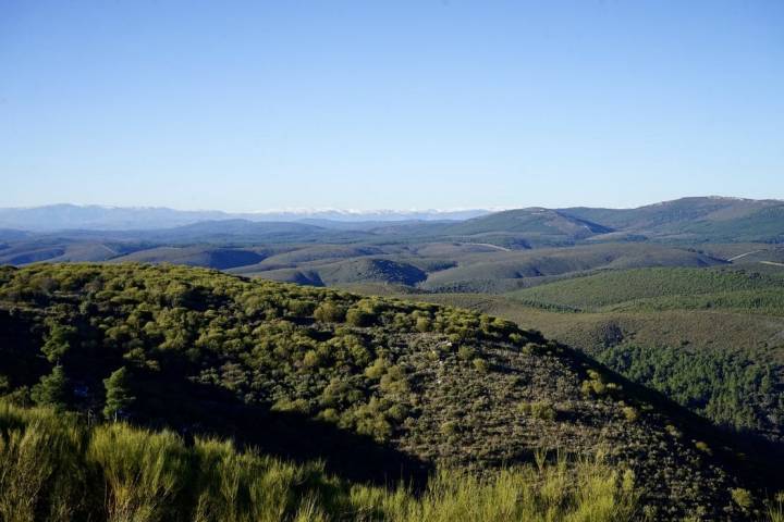 Sierra de la Culebra