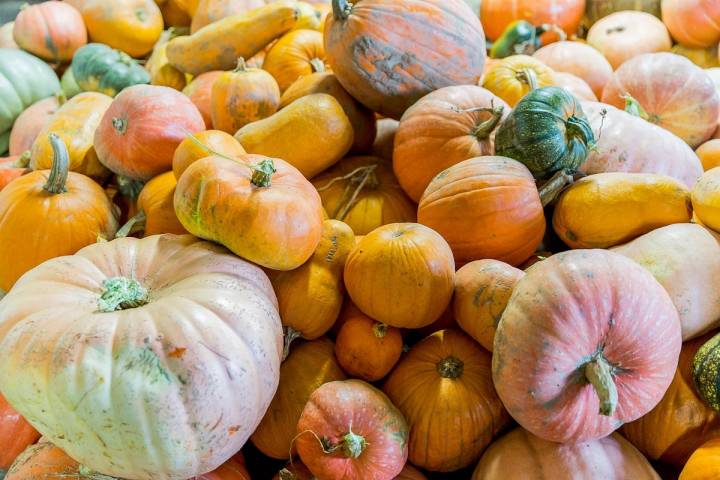 Trasmoz: Calabazas en casa de Concepción Martínez, que serán preparadas para la noche de Halloween. Foto: Ferrán Mallol