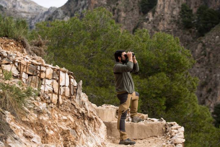 En según qué zonas del paseo se pueden observar diferentes variedades de aves.