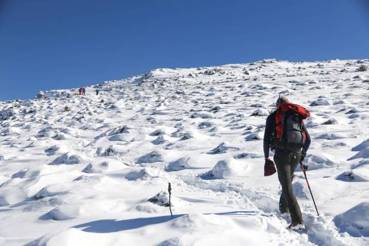 pista ascenso puerto pilones sierra de nieves malaga