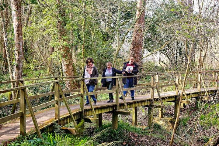 Las pasarelas de madera permiten salvar taludes y cruzar el río de lado a lado.