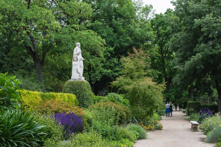 Recorrer el Real Jardín Botánico te sumergirá en un universo verde y didáctico. Un plan perfecto si pasas estos días por la capital.