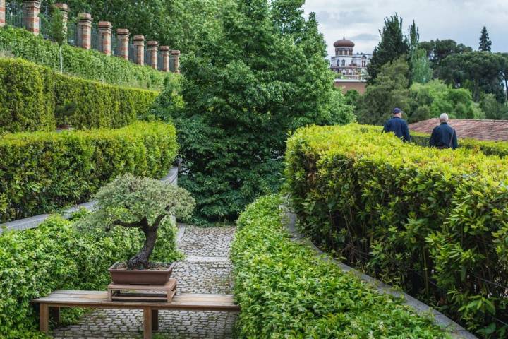 La terraza alta o de los laureles del Real Jardín Botánico de Madrid, donde se guarda la colección de bonsáis que donó Felipe González.