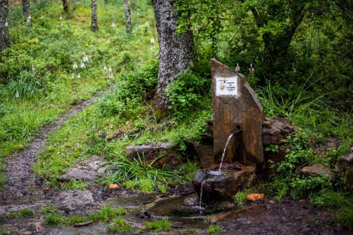 La Fuente del Macarra en la Dehesa Boyal.